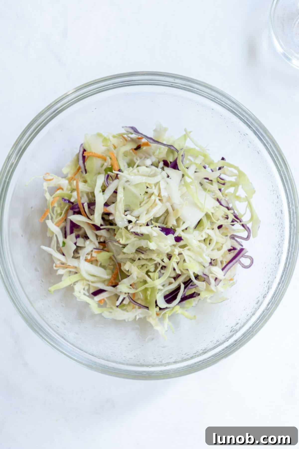 coleslaw with lime juice, showing shredded cabbage and carrots mixed with fresh lime juice in a bowl.