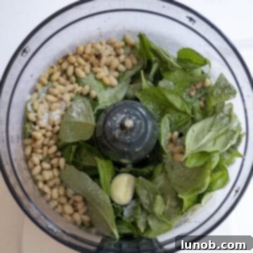 Mediterranean Artichoke Pesto Pasta 4 Fresh basil leaves, a clove of garlic, and pine nuts ready in a food processor for blending.