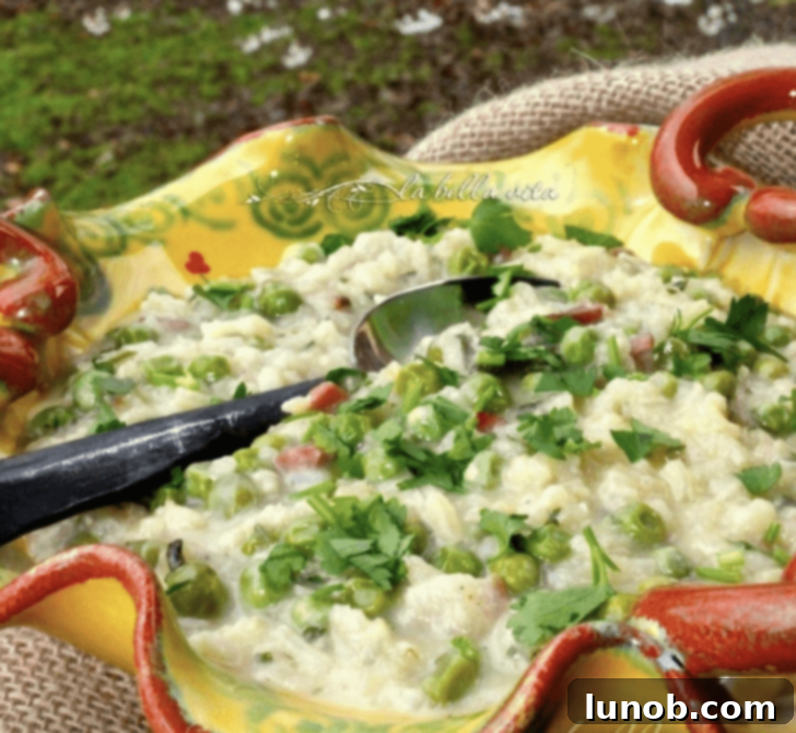 Italian Easter & Spring Feasts: 49 Delicious Recipes 17 Authentic Venetian Risi e Bisi, a classic rice and pea dish