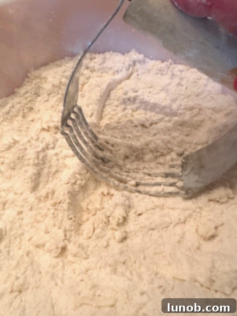 Dry ingredients and butter mixed with a pastry cutter.