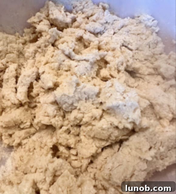 Scone dough after mixing, before adding strawberries.