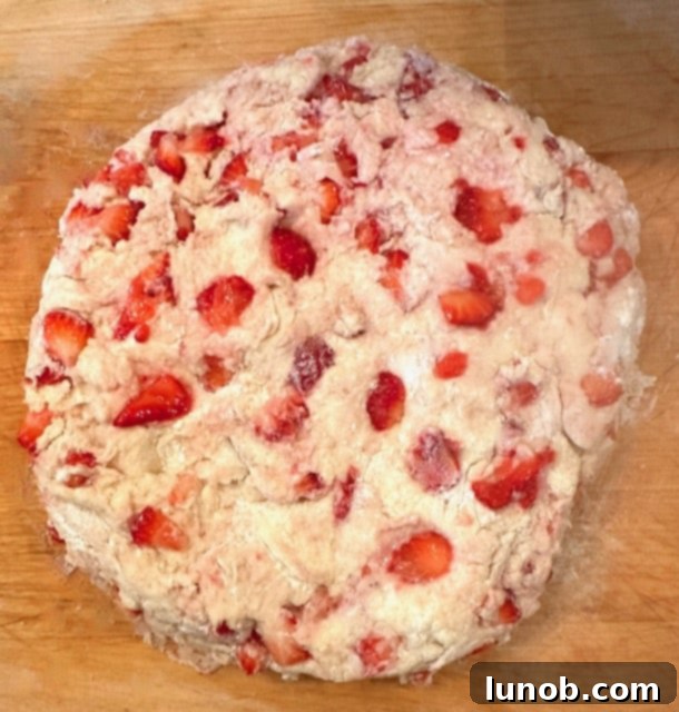Scone dough patted into a circular disc on a floured surface.