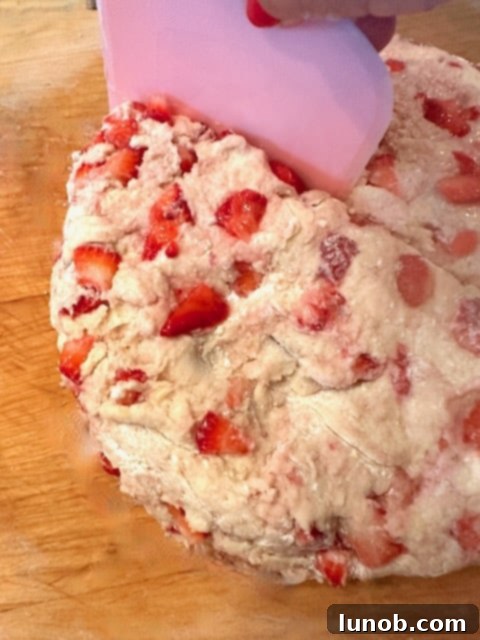 Scone dough cut into 8 triangles.