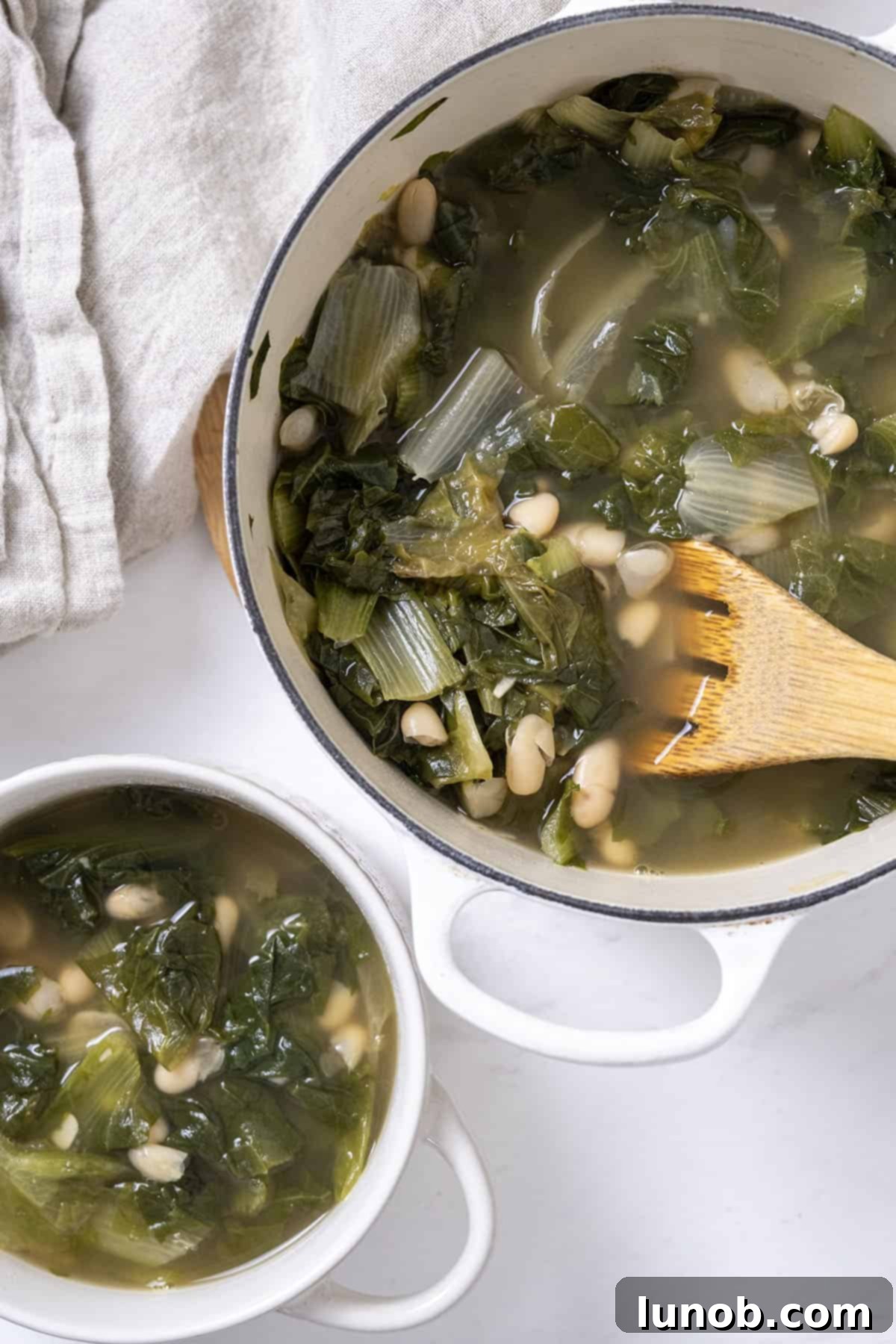 A dutch oven filled with escarole and beans along with a bowl of the same.
