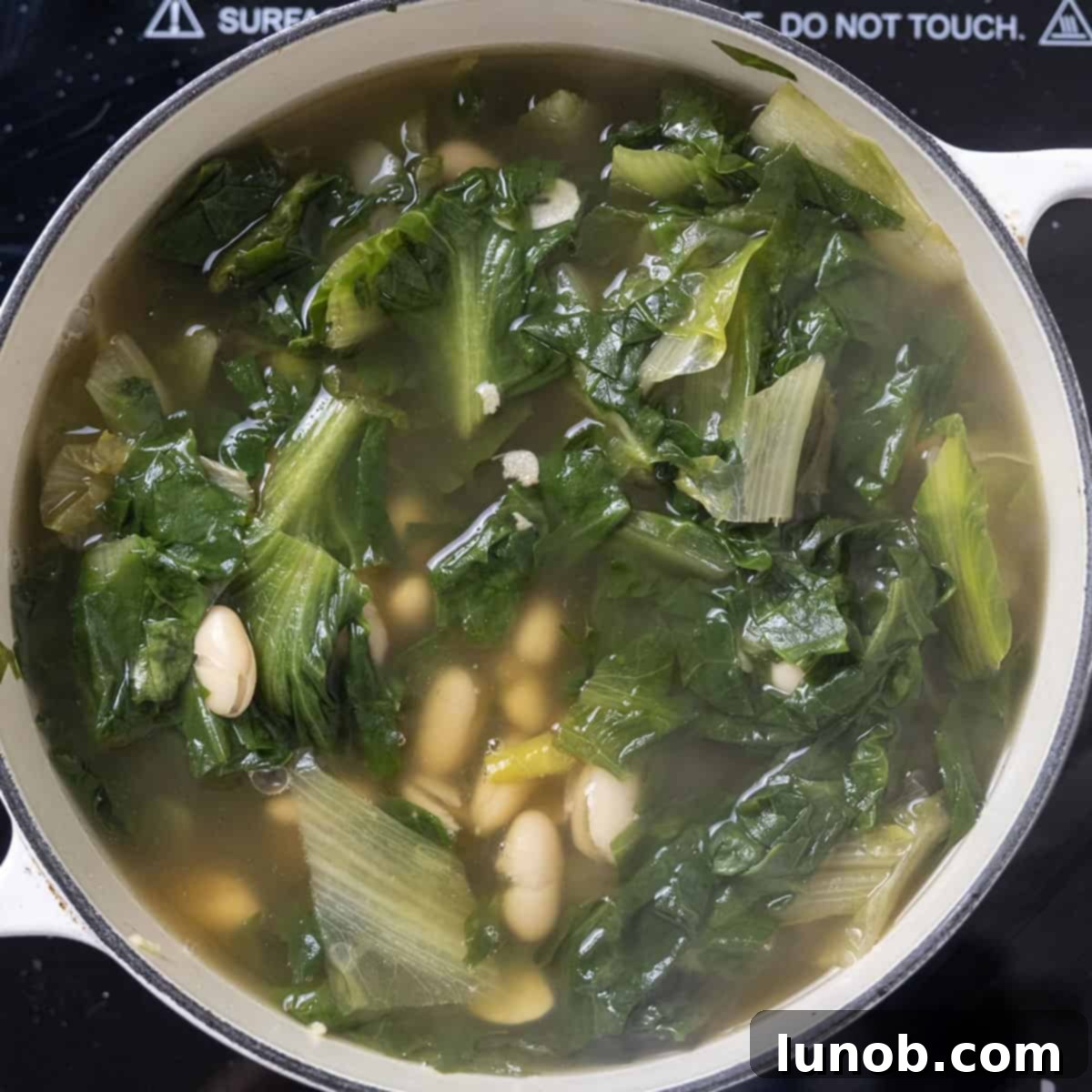 Soup simmering in dutch oven.