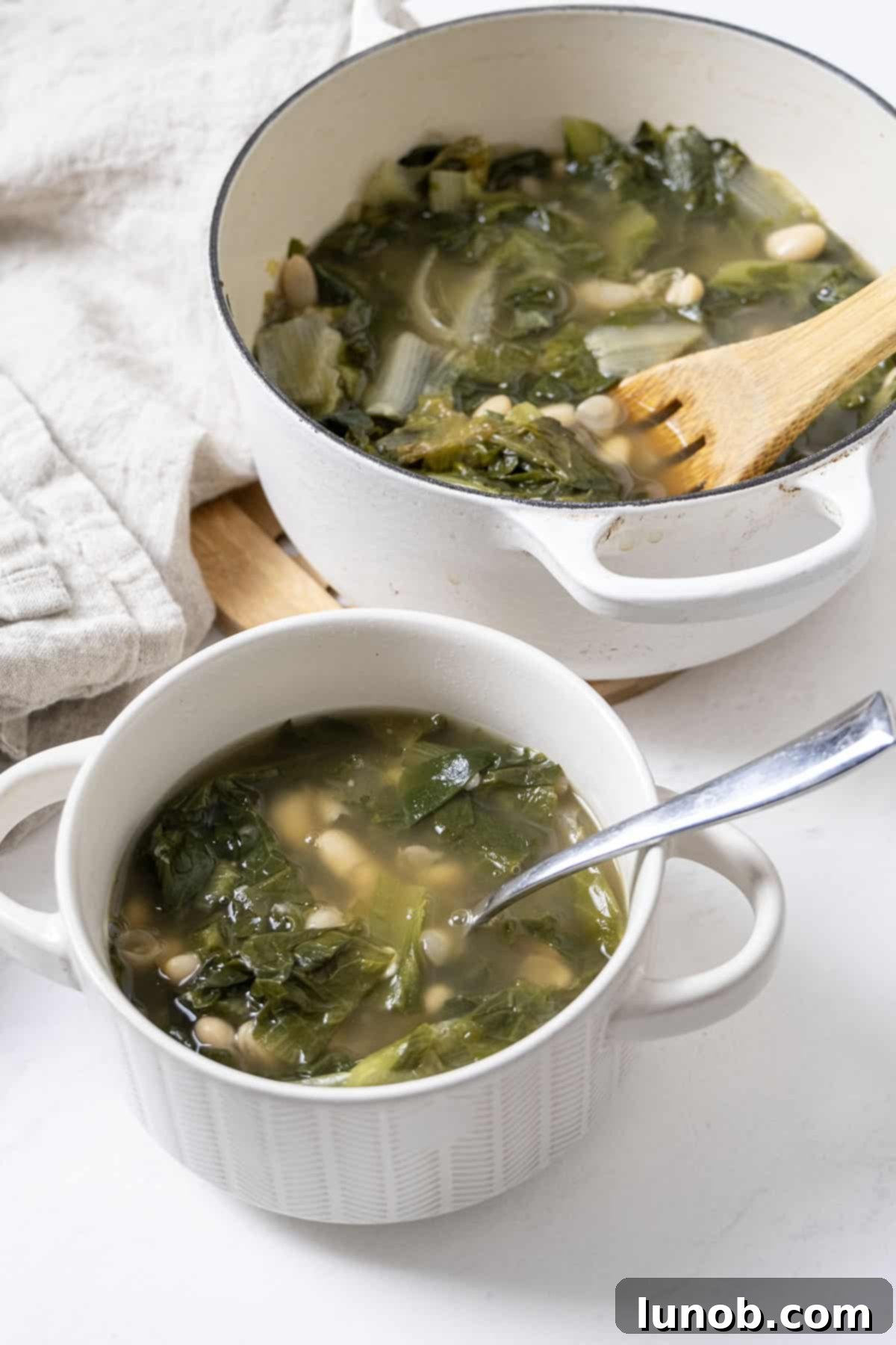 A dutch oven filled with escarole and beans along with a bowl of the same.