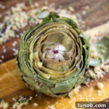 A trimmed and opened artichoke, ready for stuffing.
