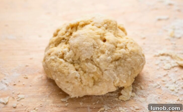 Roughly formed gnocchi dough ball.