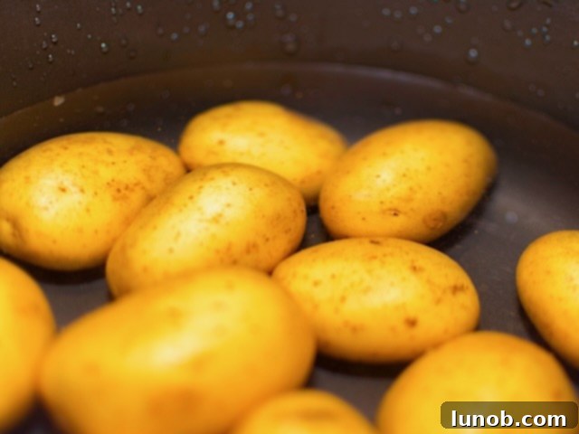 Potatoes boiling in a large pot for gnocchi.