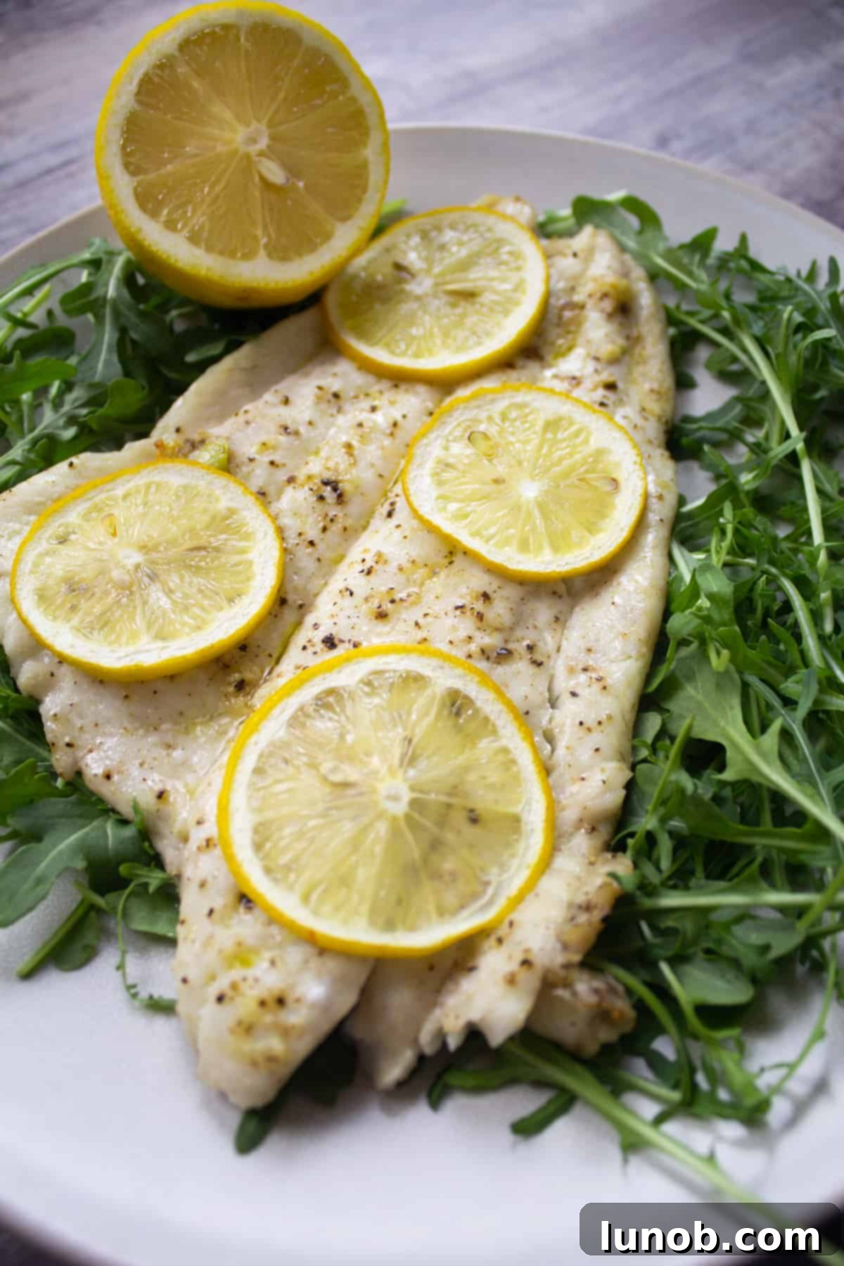 broiled flounder topped with lemon slices, over a bed of arugula, seasoned with salt and pepper.