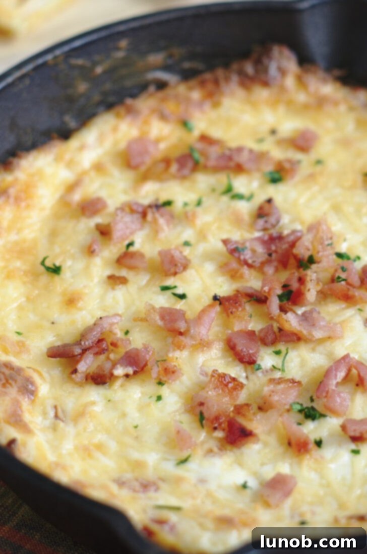 A bowl of baked Asiago cheese dip.