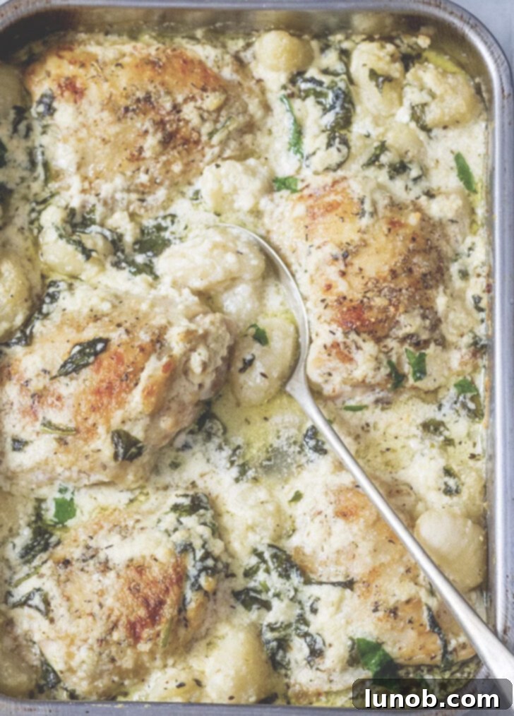 Baked chicken with garlic Asiago cream sauce.