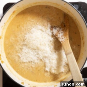 Velvety Potato and Onion Soup 11 Parmesan added to the soup.