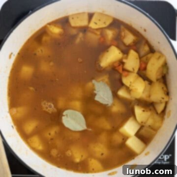 Velvety Potato and Onion Soup 8 Potatoes added to pot with broth.