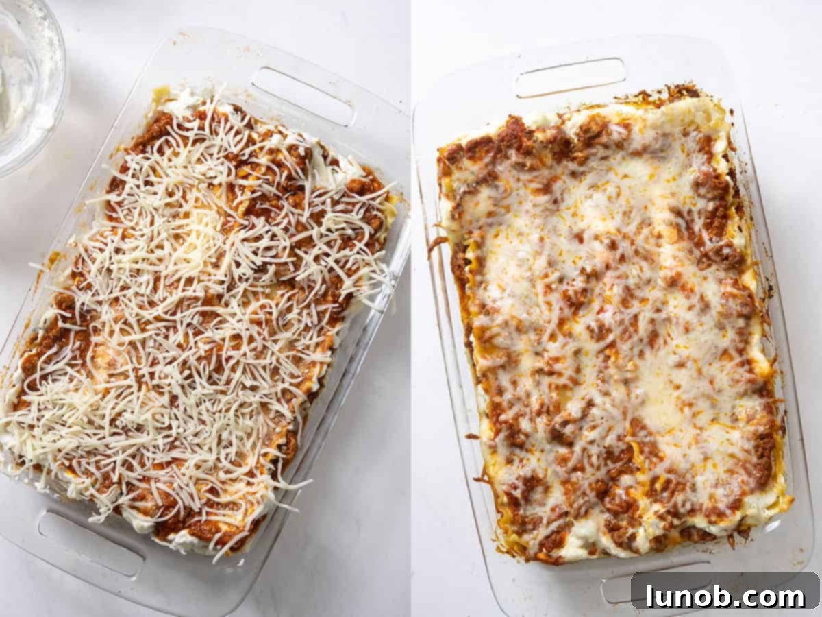 The top layer of lasagna generously sprinkled with mozzarella cheese, ready for baking.