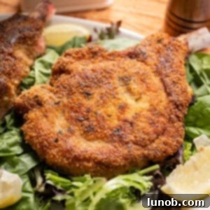 Golden Crispy Milanese Pork Chop 10 Pork chop milanese over a greens salad and a wedge of lemon on the side.