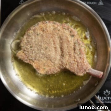 Golden Crispy Milanese Pork Chop 7 Pork chop in a frying pan frying in olive oil.
