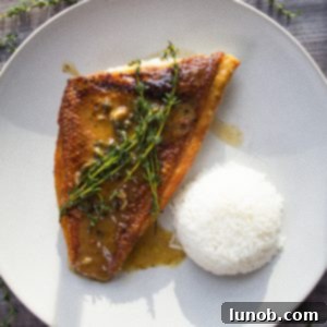 pan seared vermillion snapper