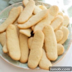 A beautiful plate of freshly baked ladyfingers, ready to be enjoyed or used in tiramisu.