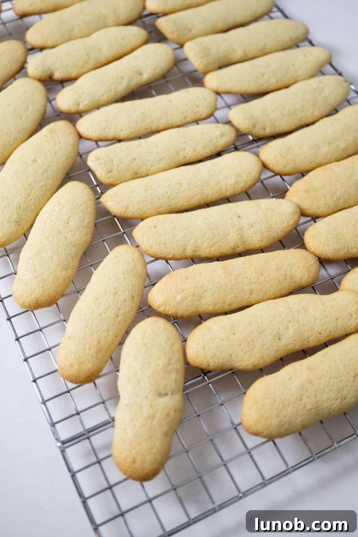 Freshly baked ladyfingers cooling on a wire rack.