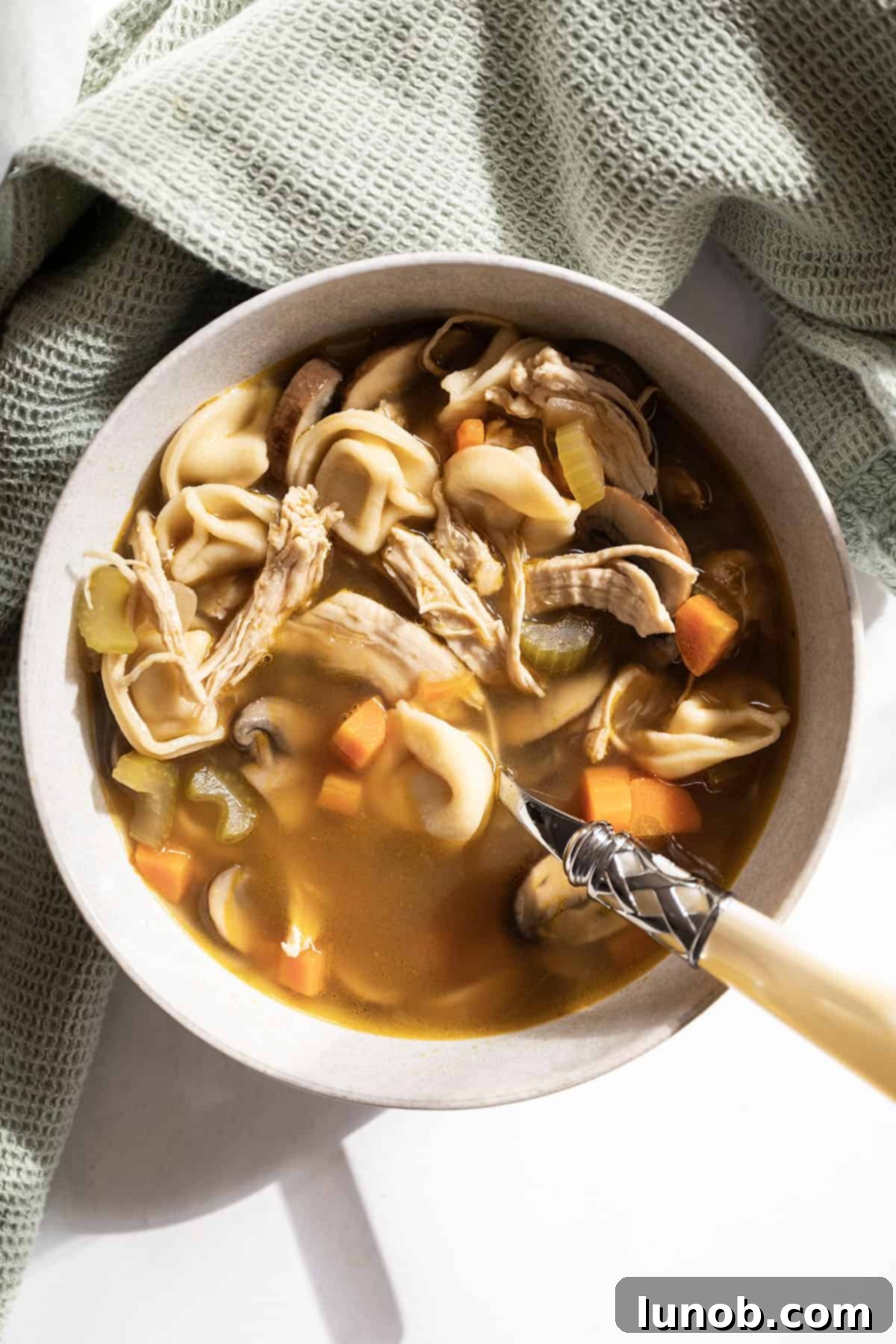 Comforting Chicken Tortellini Soup 2 A steaming bowl of homemade chicken tortellini soup garnished with fresh herbs, ready to be served.