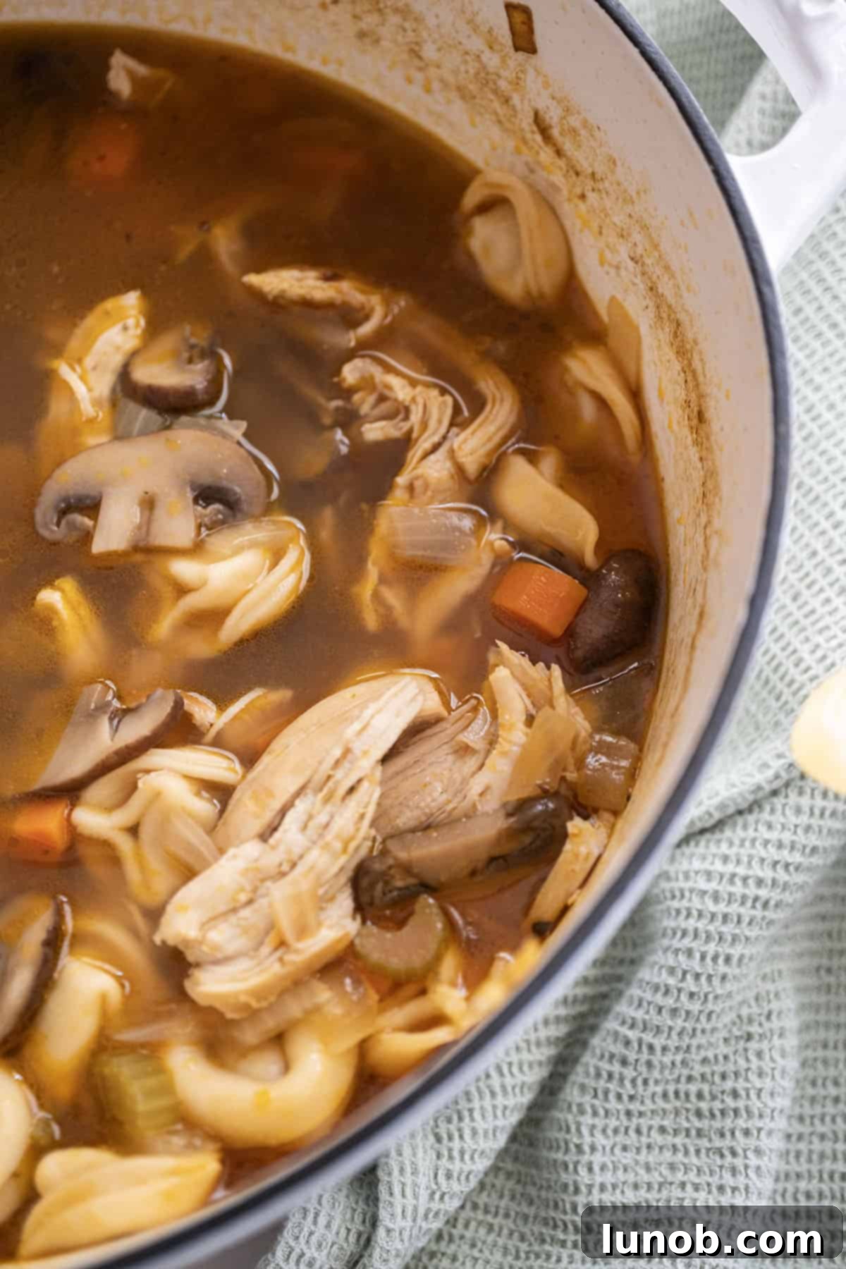 Comforting Chicken Tortellini Soup 11 A large pot filled with steaming chicken tortellini soup, showing tender chicken pieces, mushrooms, and tortellini.