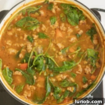 Soul-Warming Sausage and Lentil Soup 9 Fresh spinach wilting into the hot lentil soup, adding vibrant color and nutrients.