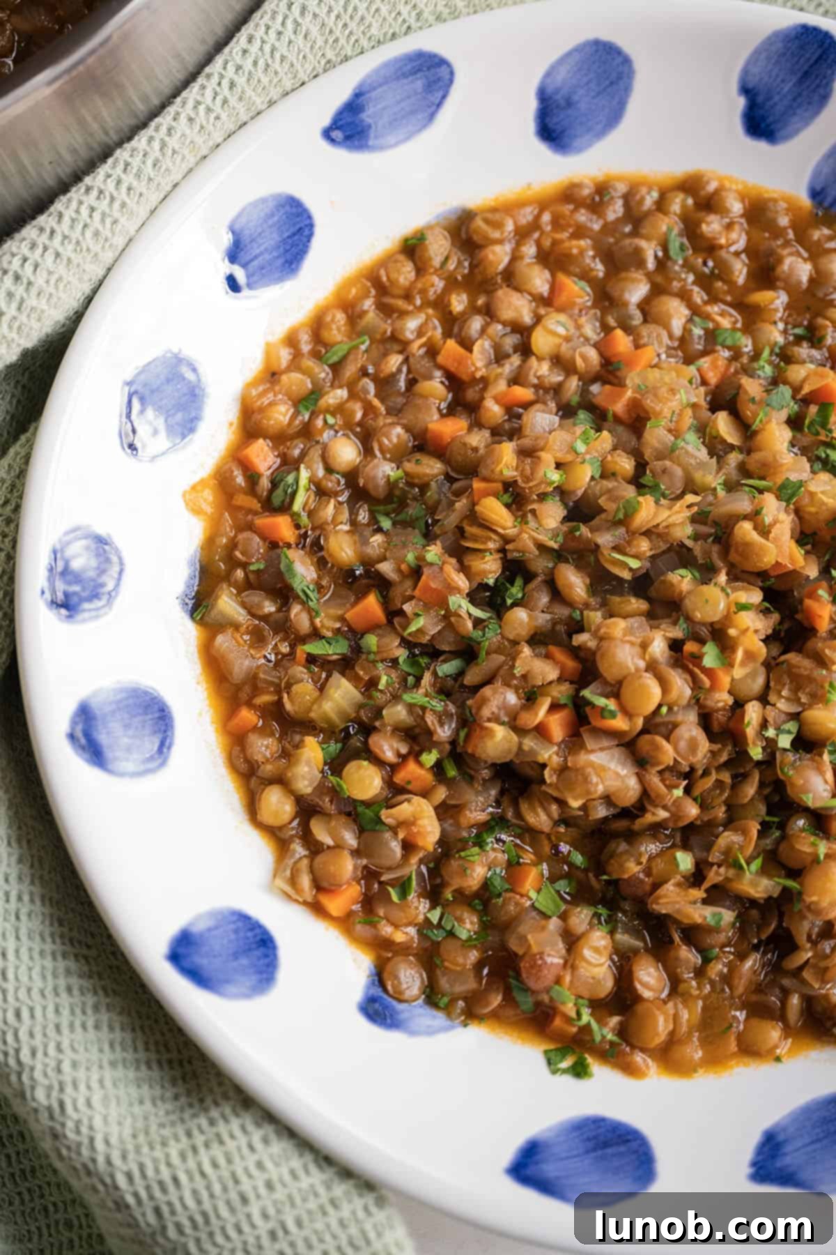 Authentic Italian Lentils 2 Cooked lentils in a bowl, ready to be served.