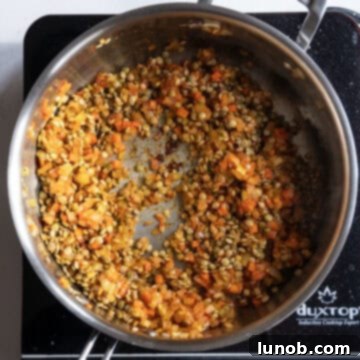 Authentic Italian Lentils 7 Dry lentils added to the saucepan and coated with the vegetable mixture.
