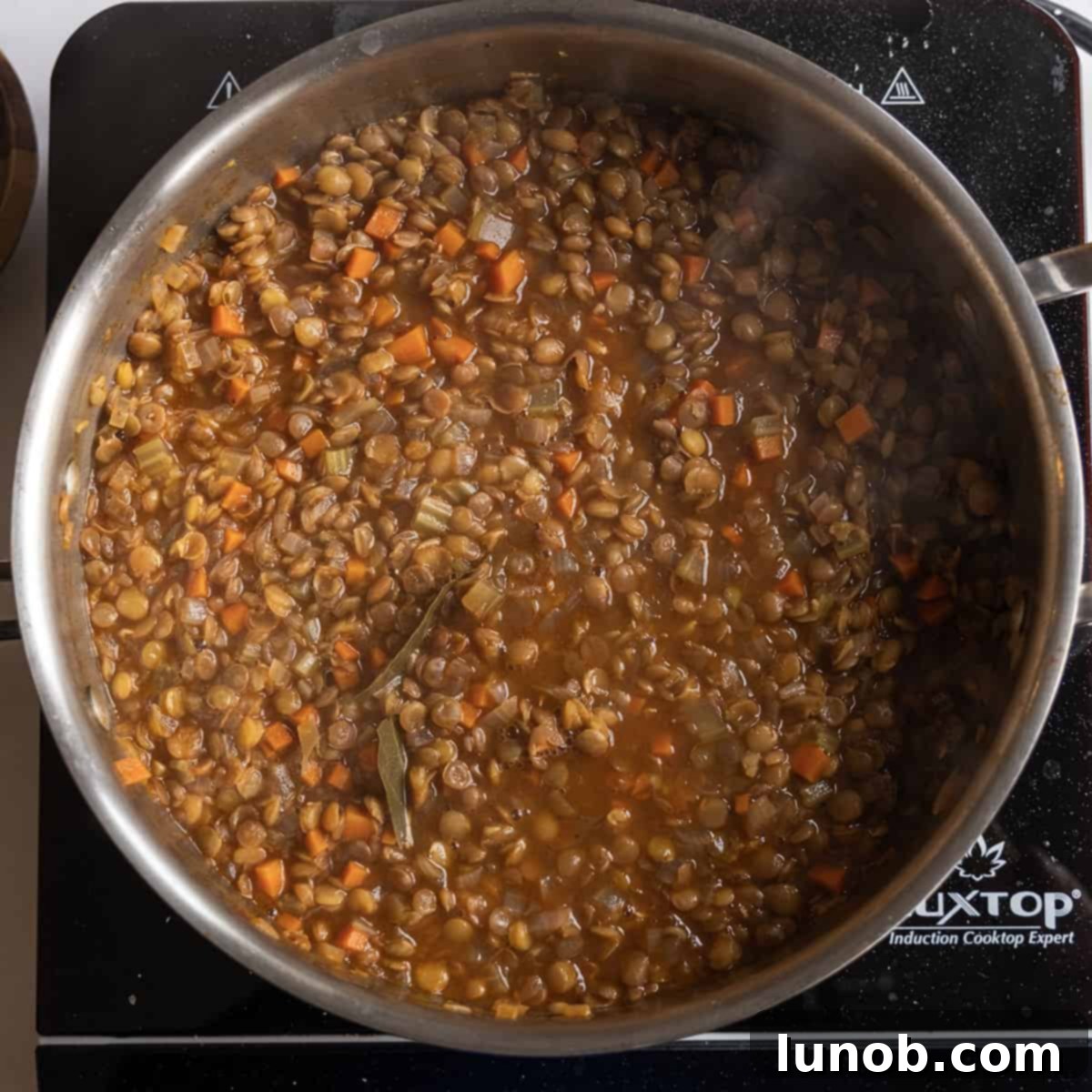 Authentic Italian Lentils 10 Perfectly simmered and softened lentils in a saucepan, ready to serve.