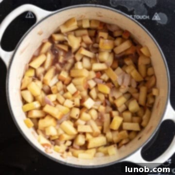 Golden Apple & Spice Chutney 7 Red wine and apple cider vinegar being poured into the dutch oven with the sautéed apples and spices.