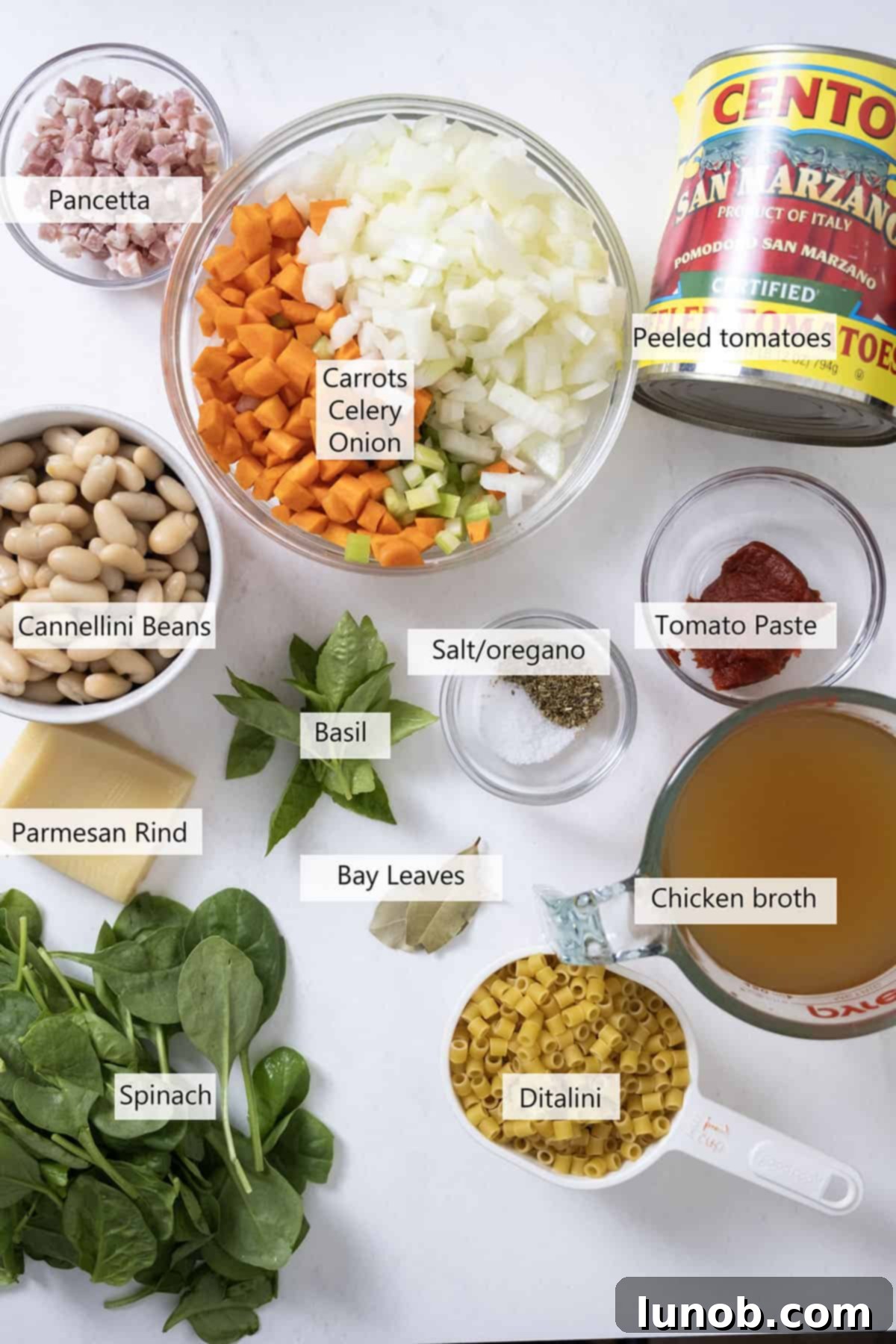 Traditional Italian Pasta Fagioli 3 A vibrant selection of fresh ingredients including carrots, celery, onions, canned tomatoes, and beans laid out for the Pasta Fagioli recipe.