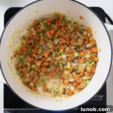Traditional Italian Pasta Fagioli 5 Finely diced carrots, celery, and onions (sofrito) sautéing in the rendered pancetta fat within the Dutch oven.