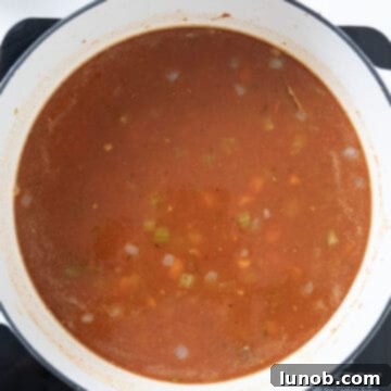 Traditional Italian Pasta Fagioli 8 Chicken broth being poured into the simmering tomato and vegetable base in the Dutch oven.