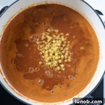 Traditional Italian Pasta Fagioli 9 Ditalini pasta and cannellini beans being added to the simmering Pasta Fagioli soup.