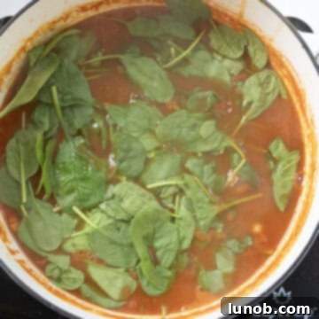 Traditional Italian Pasta Fagioli 10 Fresh spinach leaves being added on top of the hot Pasta Fagioli soup in the Dutch oven.