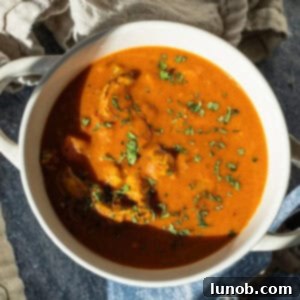 Velvet Butter Chicken Soup 13 Butter chicken soup in a bowl topped with cilantro.
