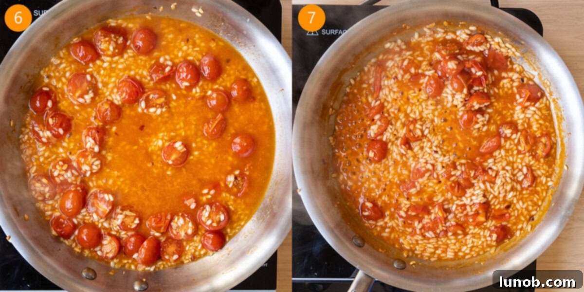 Velvet Tomato Risotto 6 Chicken broth added to sauce pan then arborio rice soaking up all chicken broth.