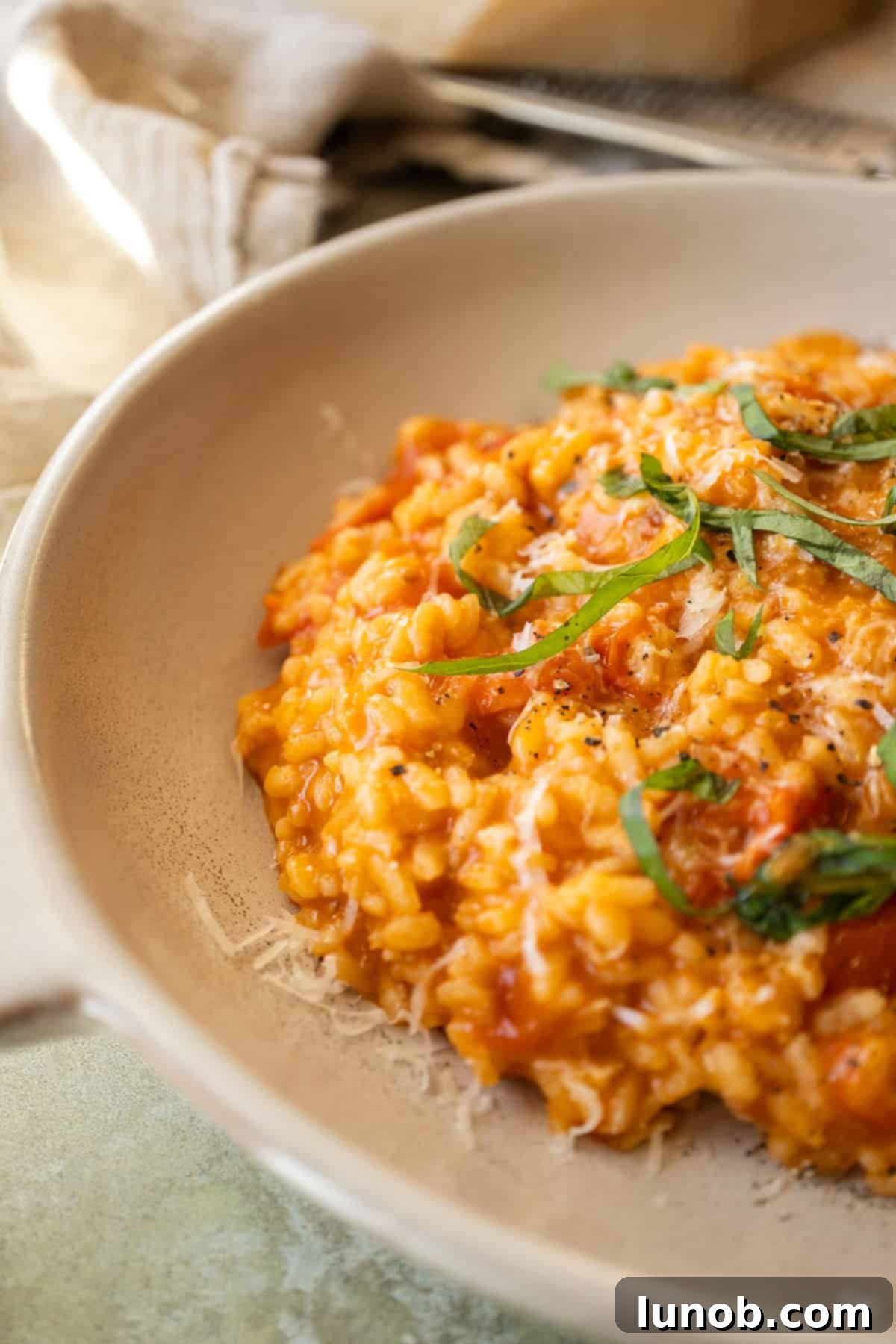 Velvet Tomato Risotto 10 Creamy cherry tomato risotto in a bowl topped with fresh basil.