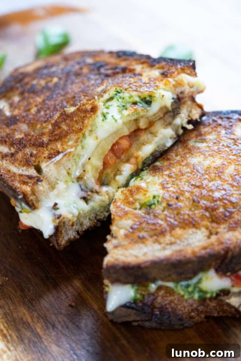 Caprese Eggplant Melt 2 eggplant caprese grilled cheese featuring golden bread and melted cheese with fresh basil