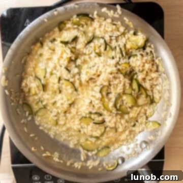 Zucchini with creamy and runny texture in saucepan with parmesan combined.