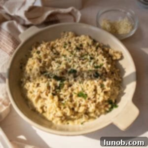 A bowl of risotto with mushrooms topped with extra gorgonzola and parsley.