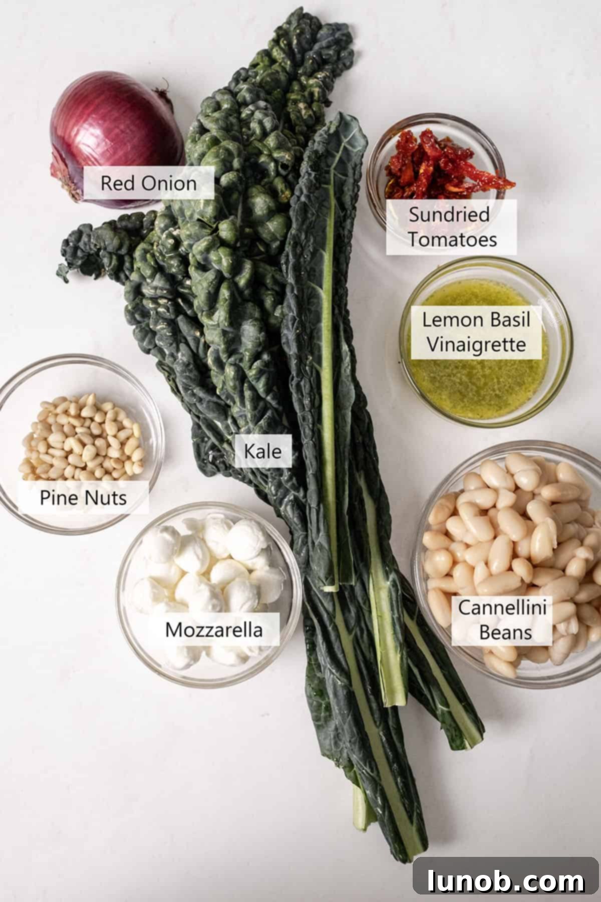 A colorful array of fresh ingredients for kale and cannellini bean salad, including lacinato kale, cannellini beans, mozzarella pearls, sundried tomatoes, red onion, and pine nuts.