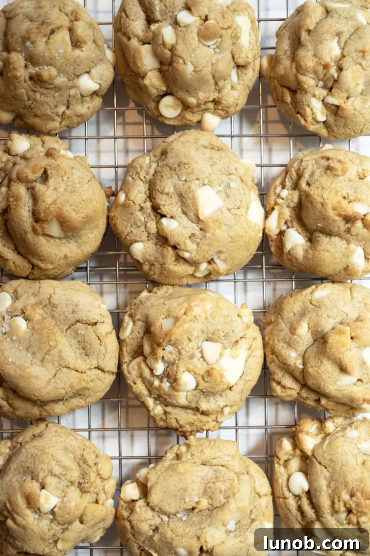Soft Baked White Chocolate Macadamia Delights 2 Freshly baked chewy white chocolate macadamia nut cookies cooling on a wire rack, ready to be enjoyed.