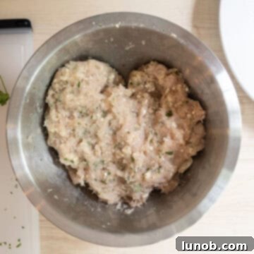 Gourmet Gorgonzola Grilled Chicken Burger 4 Ground chicken combined with parsley, gorgonzola, breadcrumbs, salt, and pepper.