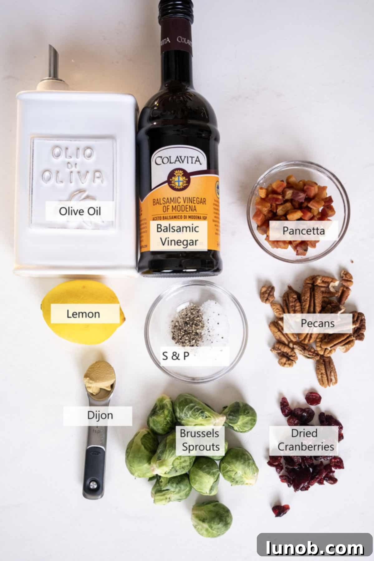 Crispy Pancetta Brussels Sprout Salad 3 Ingredients for the Brussels sprouts salad recipe, including Brussels sprouts, pancetta, pecans, and cranberries.