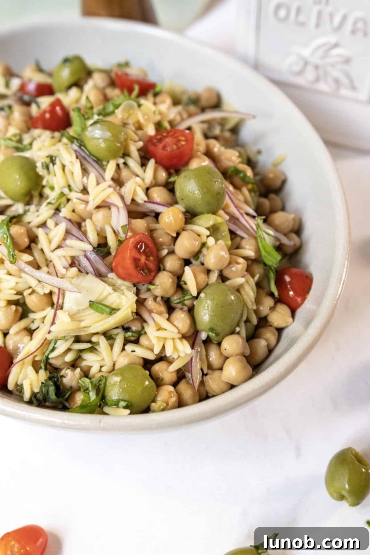 Vibrant Orzo and Chickpea Salad 2 A colorful Orzo and Garbanzo Bean Salad in a bowl, featuring olives, tomatoes, and herbs.