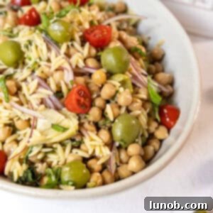 Vibrant Orzo and Chickpea Salad 11 A beautifully presented bowl of Orzo and Garbanzo Bean Salad, garnished with fresh herbs.