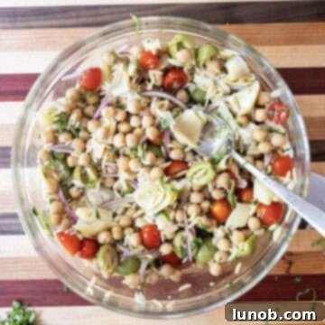 Vibrant Orzo and Chickpea Salad 9 The fully mixed Orzo and Garbanzo Bean Salad in a bowl, ready to serve.