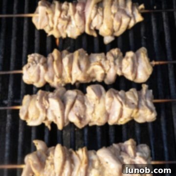 Savory Garlic Parmesan Chicken Skewers 7 Grilling chicken thigh skewers.